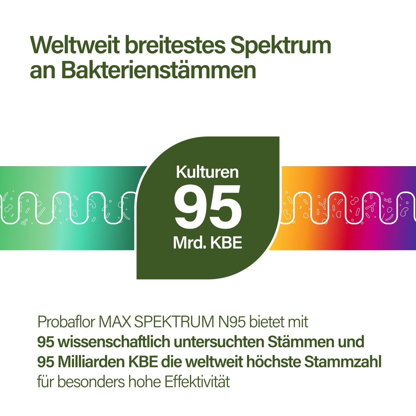 Ultimatives 2-in-1 Abnehm-Paket