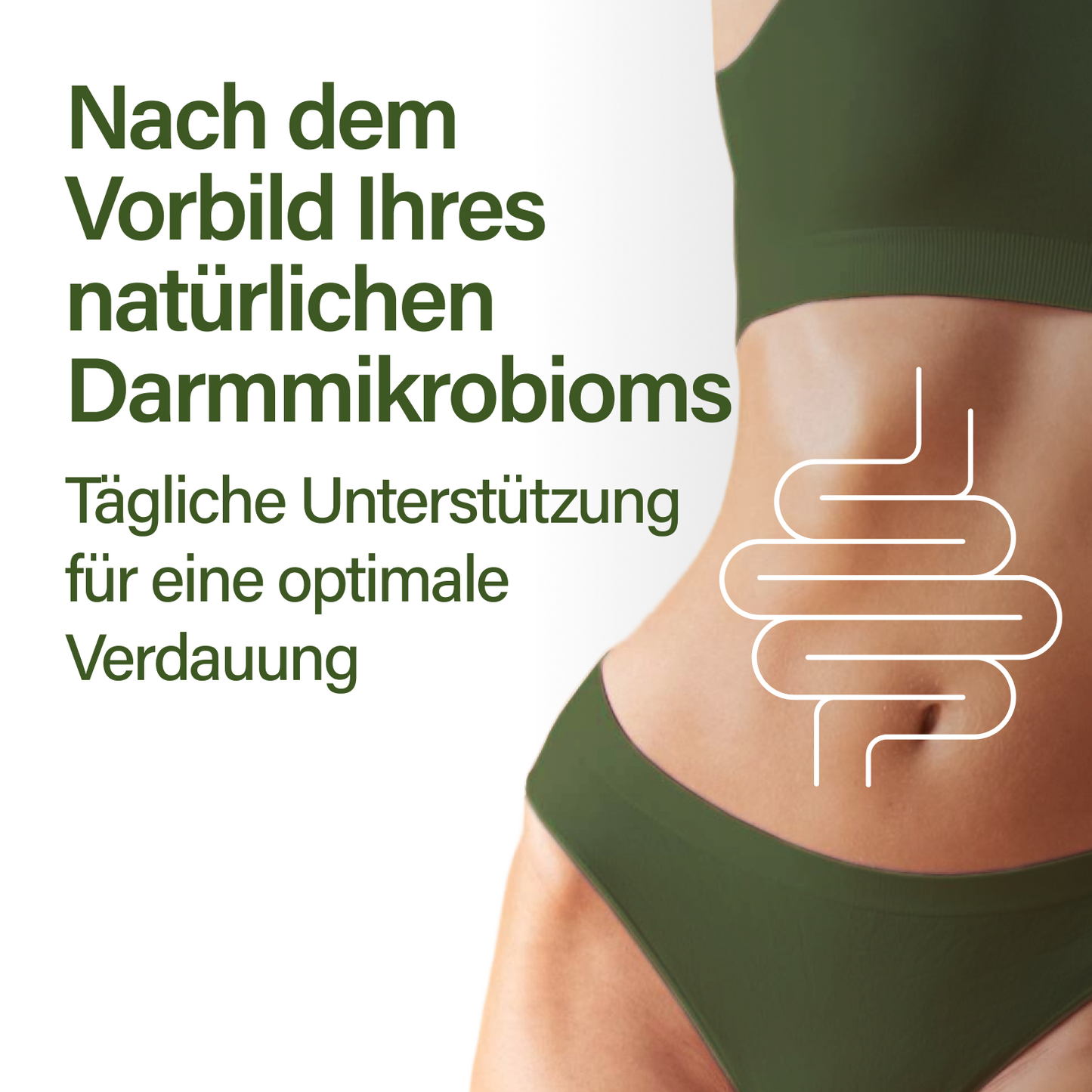 probaflor plus