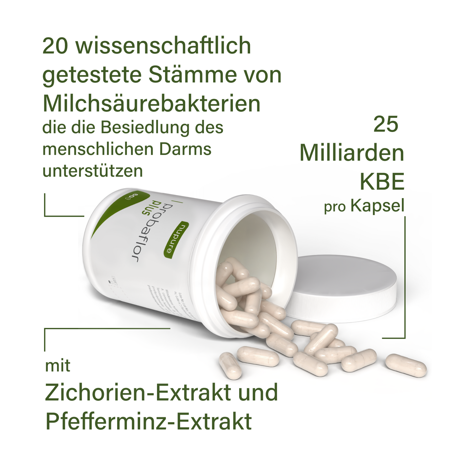 probaflor plus