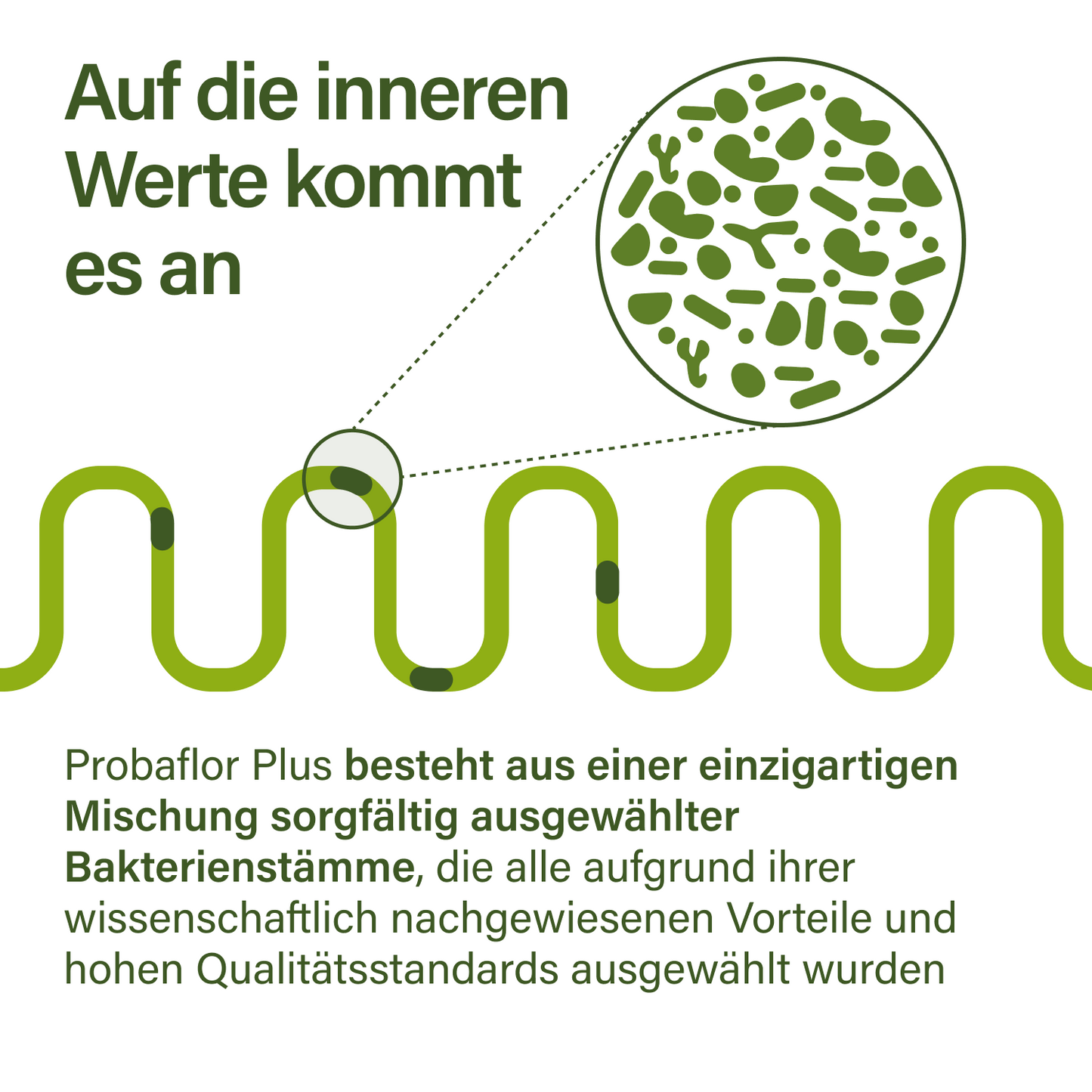 probaflor plus