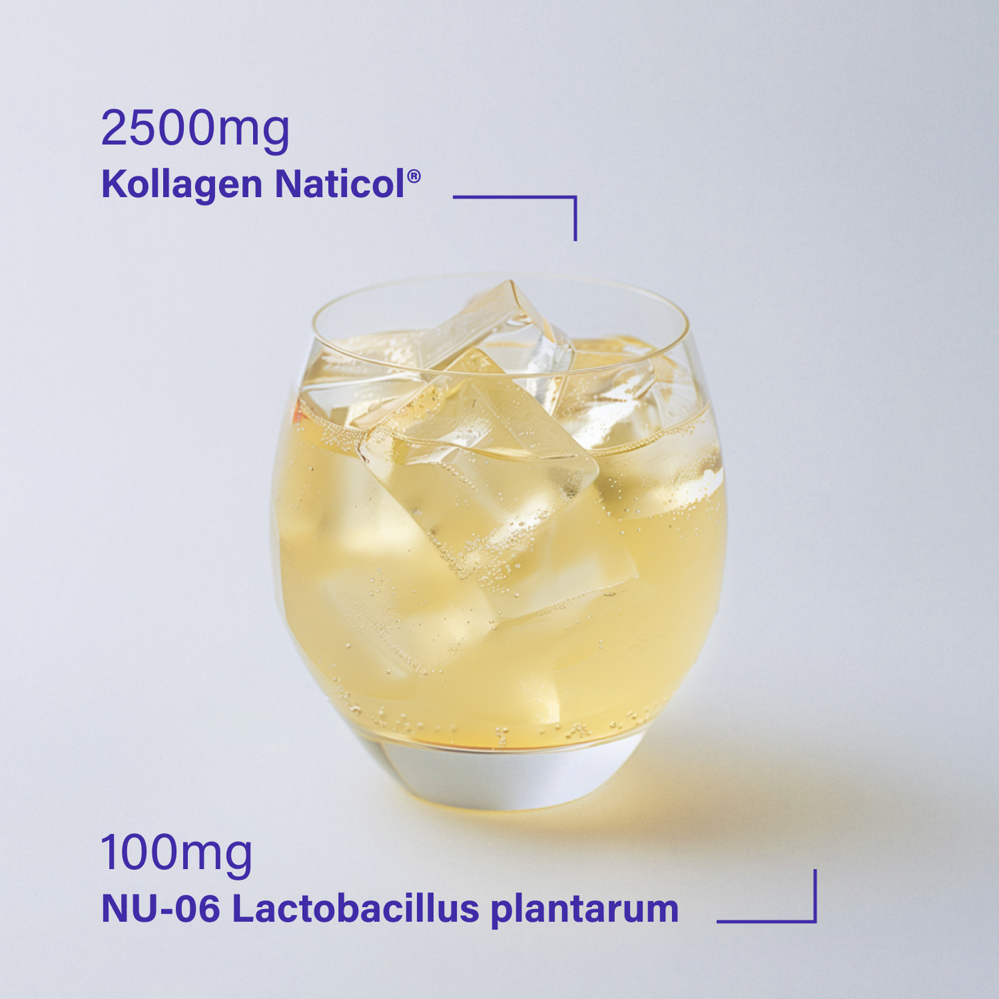 GLP-1 & Kollagen-Booster Pulver-Set