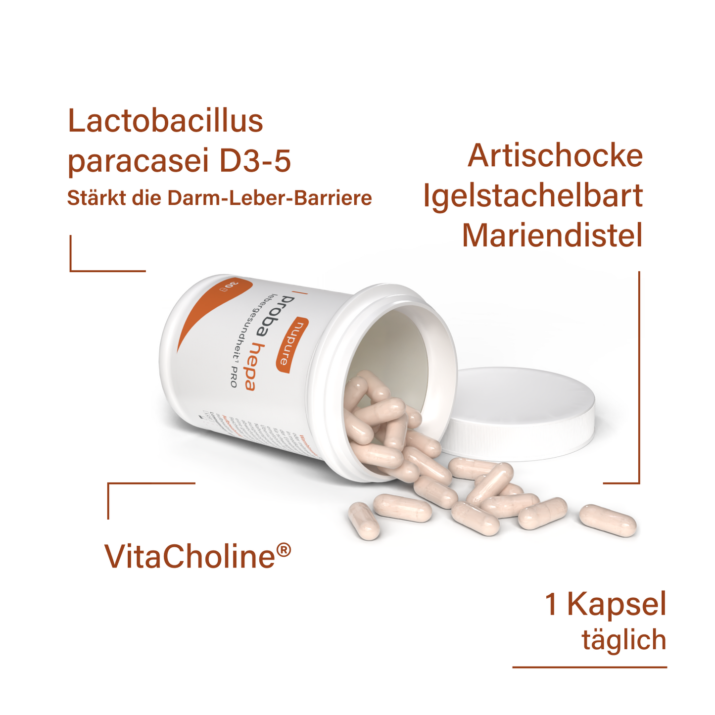 proba hepa Lebergesundheit PRO