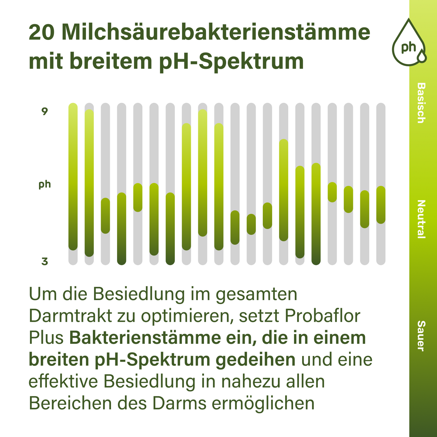 probaflor plus