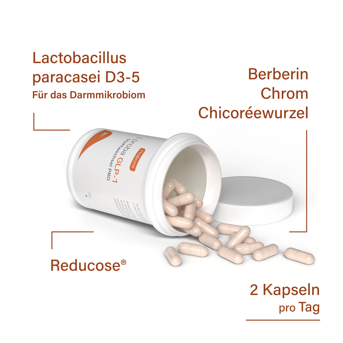 proba GLP-1 Stoffwechsel PRO