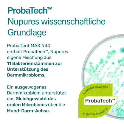 Probadent MAX N44 Pulver