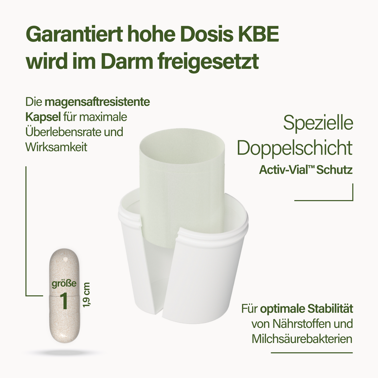 probaflor plus