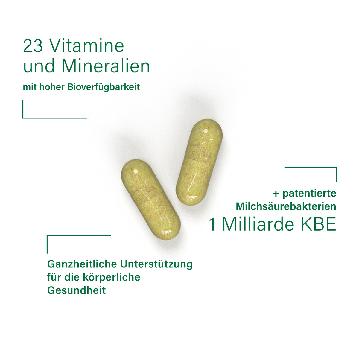 BiomOpti+® multivitamin - 3 Box