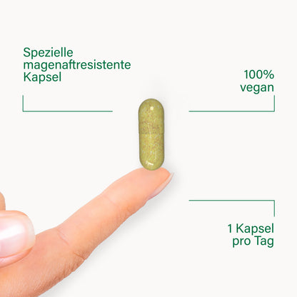 BiomOpti+® multivitamin - 2 Box