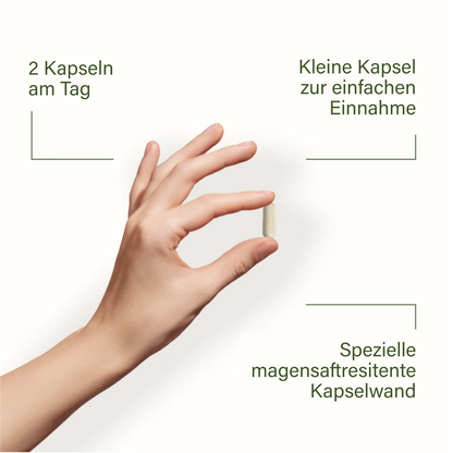 probaflor plus - 4 Packungen