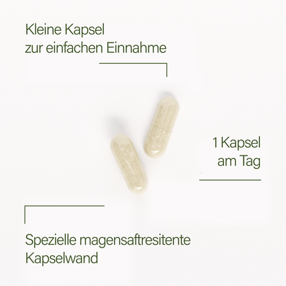 probaflor 90 - 3 packungen