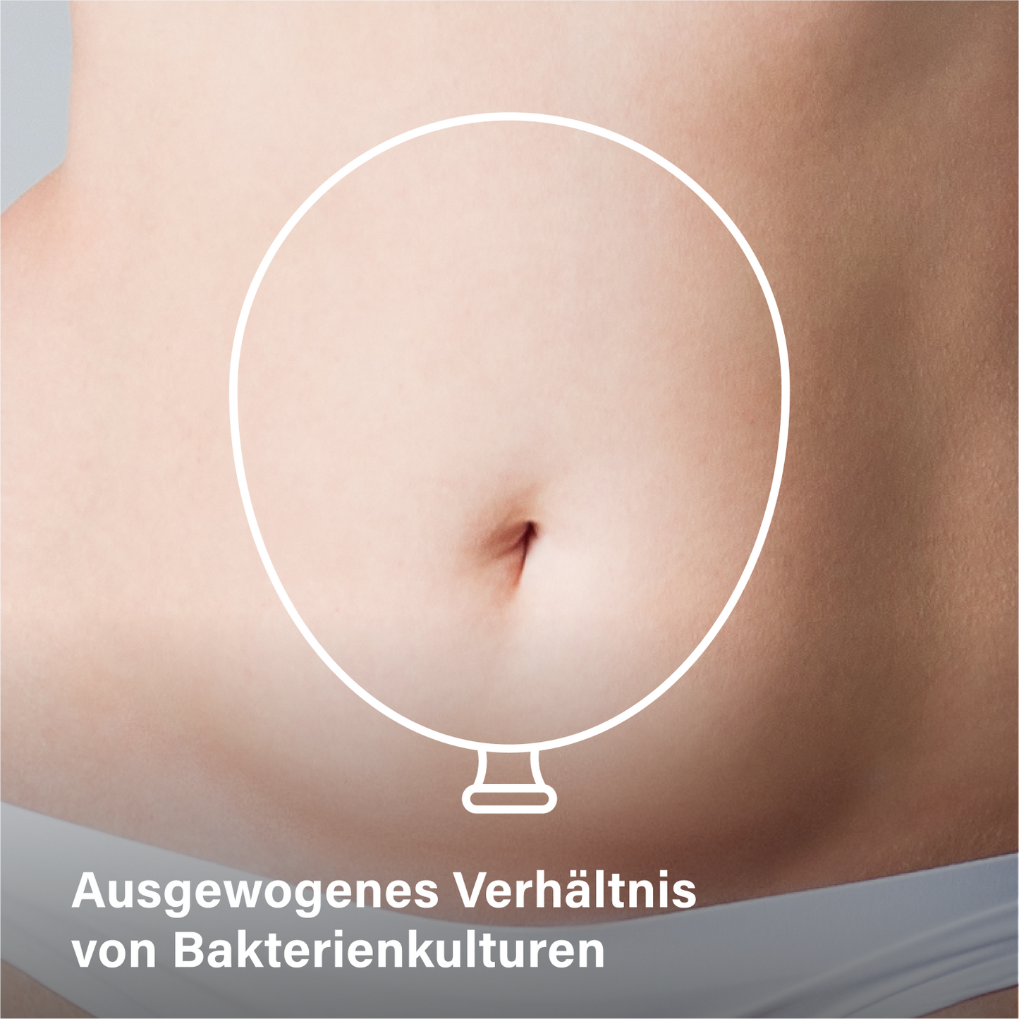 probaflor 90 - 3 packungen